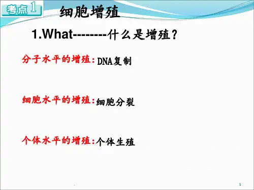 高考生物一轮复习细胞增殖