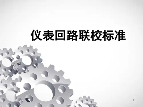 (方案)仪表回路联校规范