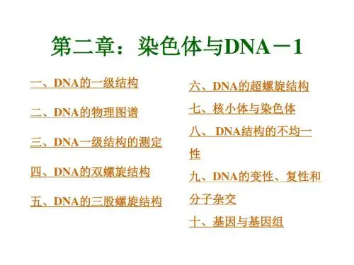 第二章：染色体与DNA-1
