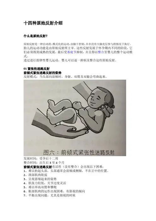 14种原始反射