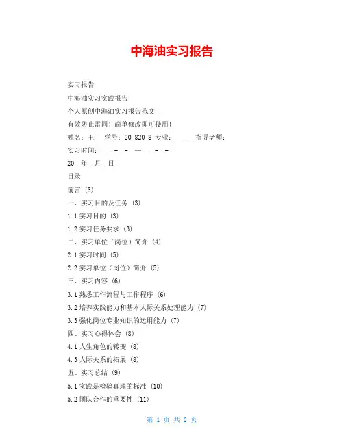中海油实习报告