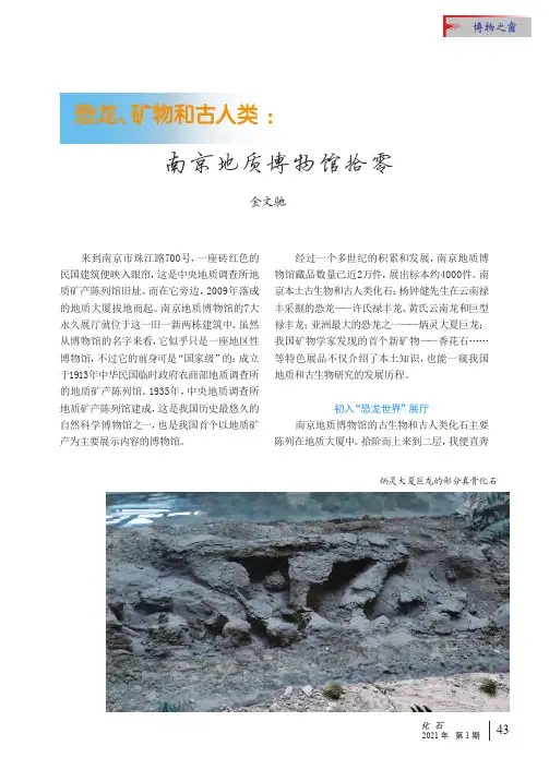 恐龙、矿物和古人类南京地质博物馆拾零