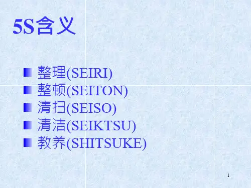 精选5S管理讲义PPT99页