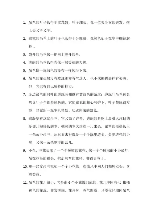吊兰长的很茂盛写成比喻句