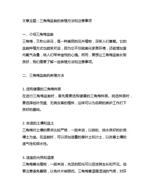 三角梅盆栽的养殖方法和注意事项