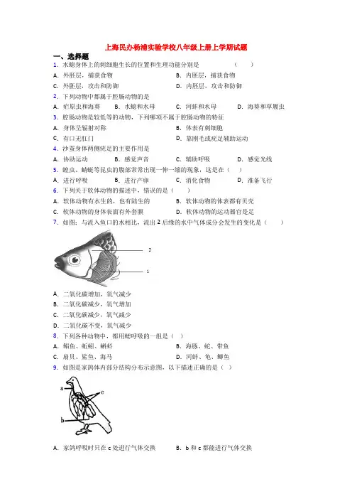 上海民办杨浦实验学校八年级上册上学期试题