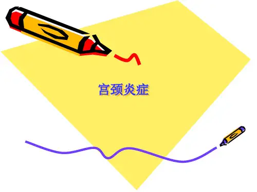 子宫颈炎症PPT课件