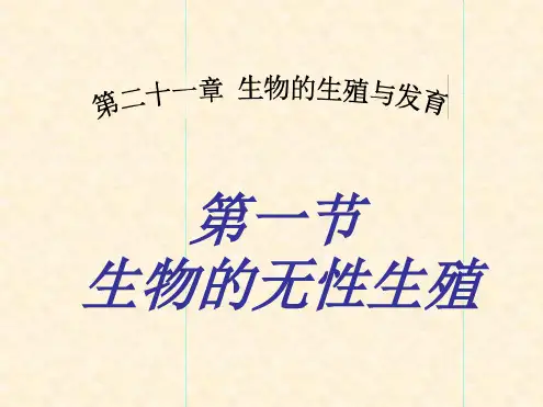 八年级下册生物课件 8211生物的无性生殖课件2苏教版