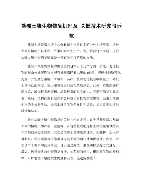 盐碱土壤生物修复机理及 关键技术研究与示范