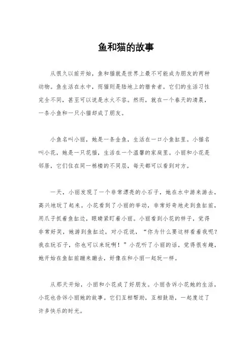 鱼和猫的故事