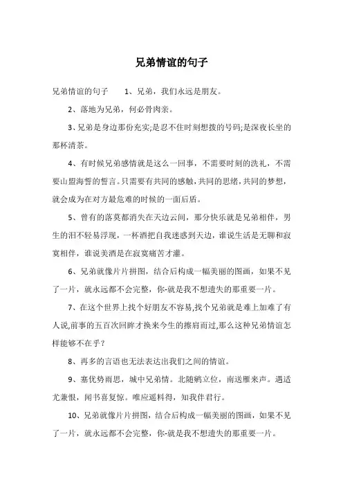 兄弟情谊的句子