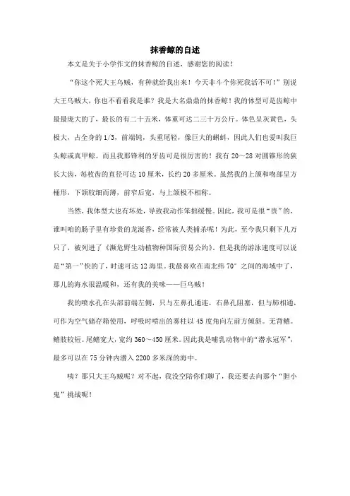 抹香鲸的自述_小学作文