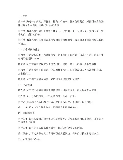 公司管理制度补充规定模板