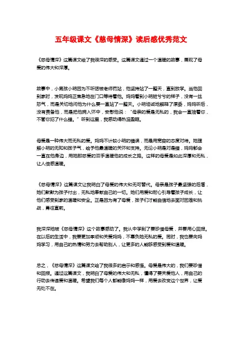 五年级课文《慈母情深》读后感优秀范文