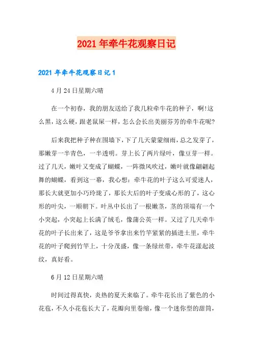 2021年牵牛花观察日记