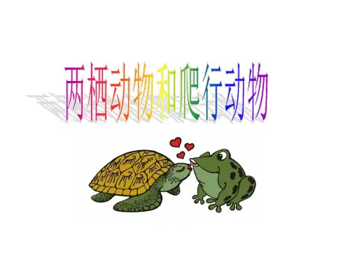 第五节 两栖动物和爬行动物解析