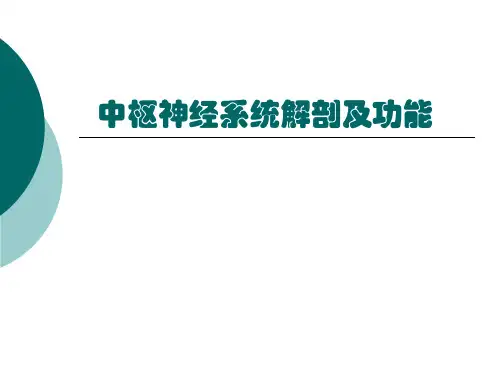 中枢神经系统解剖及功能和相关疾病影像学表现培训课件