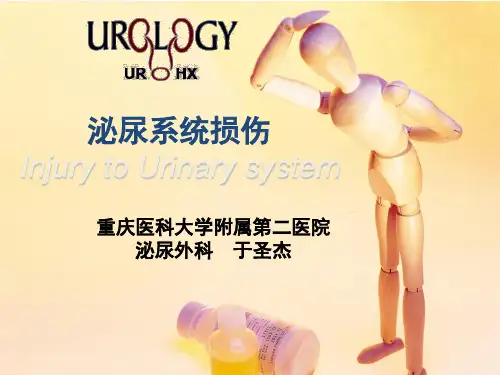 课程资料：泌尿系统损伤