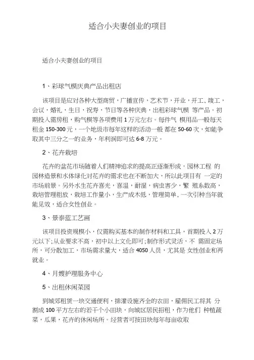 适合小夫妻创业的项目