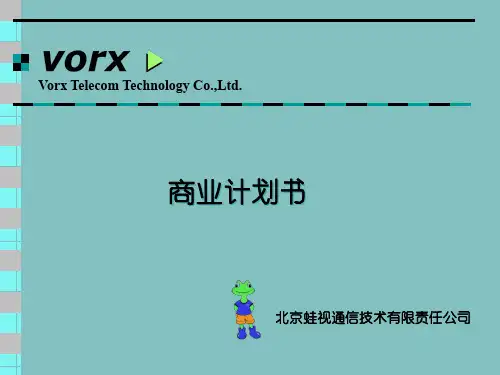 北京蛙视通信技术有限责任公司商业计划书(3)