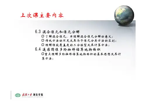 8-遥感图像目视解译及人机交互解译