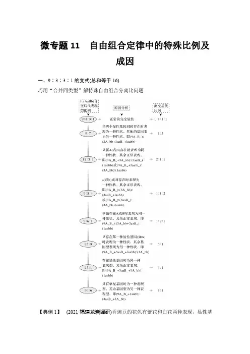高中生物 微专题11 自由组合定律中的特殊比例及成因