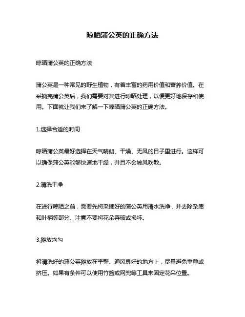 晾晒蒲公英的正确方法