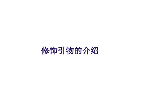 修饰标记引物的介绍