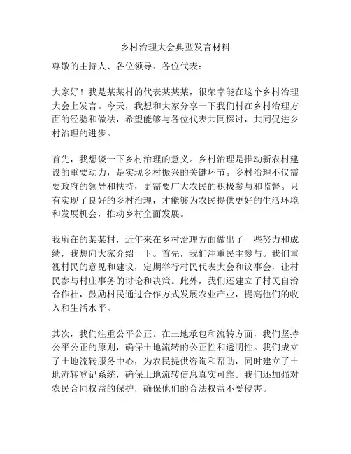 乡村治理大会典型发言材料