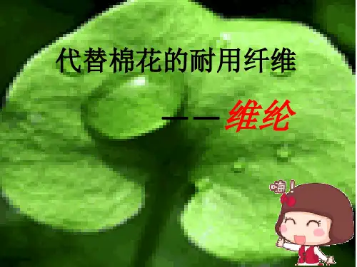 维纶PPT