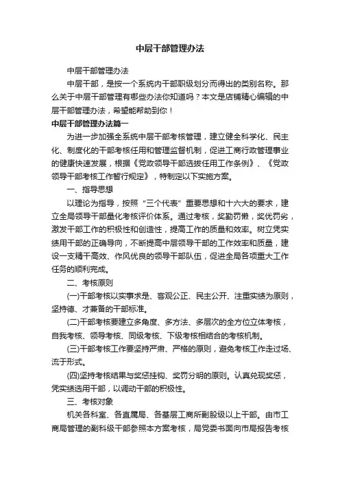 中层干部管理办法