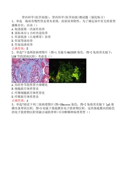 肾内科学(医学高级)：肾内科学(医学高级)测试题(强化练习)