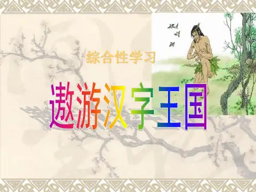 《综合性学习：遨游汉字王国》PPT课件