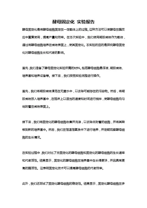 酵母固定化 实验报告