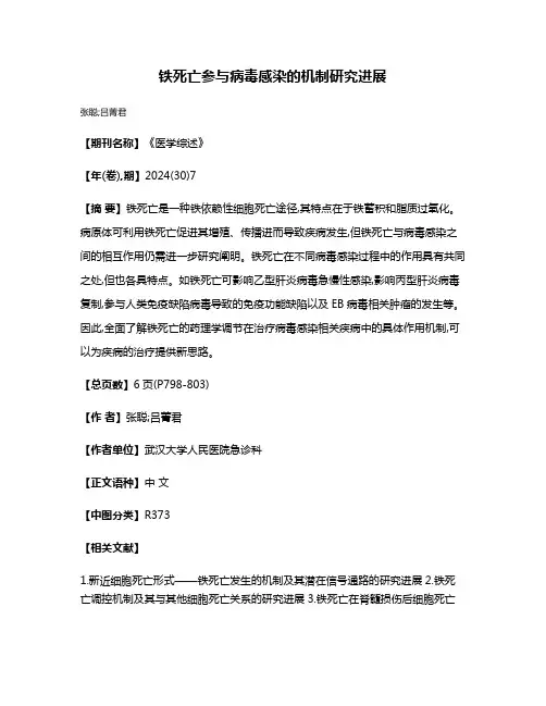 铁死亡参与病毒感染的机制研究进展
