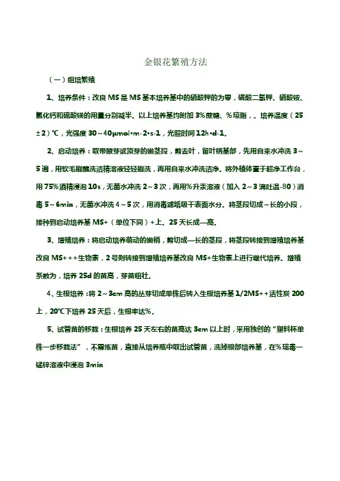 金银花繁衍方式