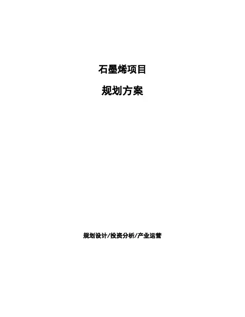 石墨烯项目规划方案