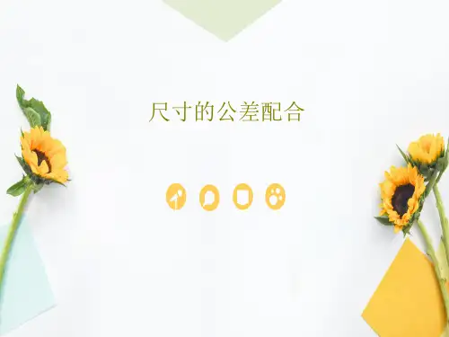 尺寸的公差配合56页PPT