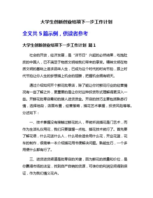 大学生创新创业结项下一步工作计划