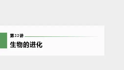 新高考生物的进化(92张)课件