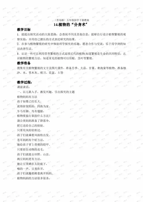 青岛小学科学五下《14植物的“分身术”》word教案(1)