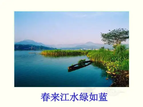 水中的藻类植物PPT课件1