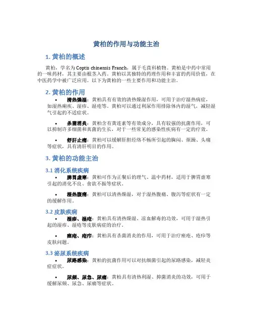 黄柏的作用与功能主治