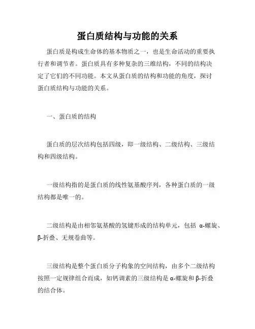 蛋白质结构与功能的关系