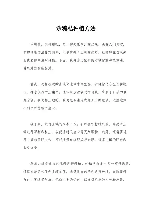 沙糖桔种植方法