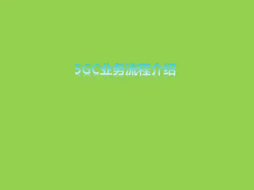 核心网5GC业务流程培训