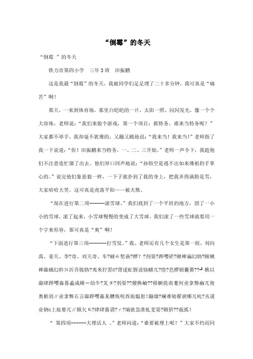 “倒霉”的冬天_小学三年级作文900字