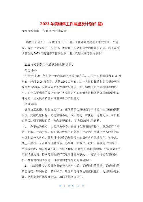 2023年度销售工作展望及计划(5篇)