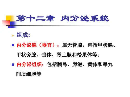 家畜解剖课件：内分泌感官