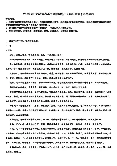 2025届江西省宜春市丰城中学高三(最后冲刺)语文试卷含解析